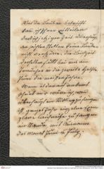 Nachlass Franz Steindachner, Brief von Josef Sturm an Franz Steindachner, Inv.Nr. 526.10, Seite 2